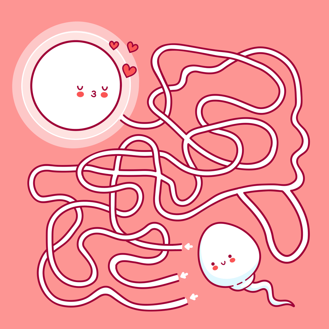 Fertility how to?