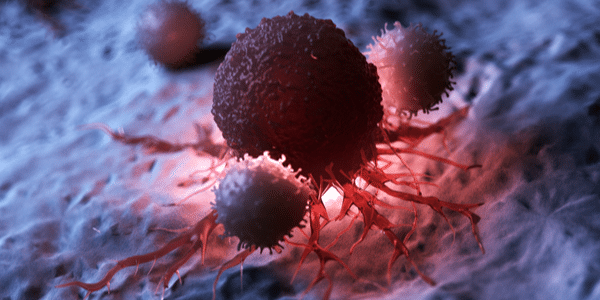 Limfocyt atakujący komórkę nowotworową
